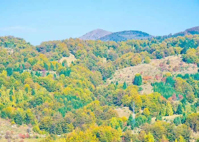 Kophill L36 Milmari Копаоник